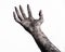 Black hand of death, the walking dead, zombie theme, halloween theme, zombie hands, white background, mummy hands