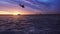 Black hawk military helicopters fly at sunrise across the boundless sea. 3D Rendering