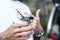 Black-headed warbler, Sylvia melanocephala, displayed in the hands of an ornithologist