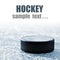 Black hockey puck