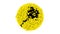 Black Honey dipper stick icon isolated on white background. Honey ladle. 4K Video motion graphic animation