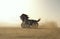 Black horse with car wheels instead of legs at high speed in the desert .