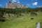 Black Horse and Cows Pasturing in Grazing Lands: Italian Green Meadows in Alps Scenery