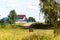 Black horse eating grass in a field of flowers in the village near the turn of the road, forest and country.