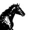 Black horse illustration on the white