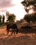 black horse inside a fence of a farm