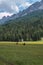 Black Horse Pasturing in Grazing Lands: Italian Dolomites Alps Scenery near Misurina Lake