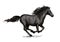 Black horse running on racing sport