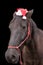 Black horse wearing santa hat