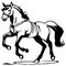 Black horse on a white background. Animal line art. Logo design, for use in graphics. Print for T-shirts, pattern for tattoos