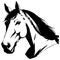 Black horse on a white background. Animal line art. Logo design, for use in graphics. Print for T-shirts, pattern for tattoos