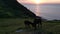Black horses eating grass at sunset