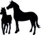 Black Horses Silhouette Vector Illustration - Mare and Foal Isolated on White