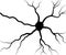 Black human neuron. Neural network technology science medicine anatomy. Vector illustration