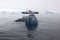 Black ice block with research boat in the background, Antarctica