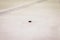 Black ice hocikey rubber puck located on arena ice rink. Ice and puck have small and deep scratches