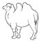 Black image of stylized bactrian camel