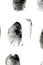 Black ink human fingerprints on white background