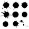 Black ink paint spots. Drops texture isolated on white background. Set for grunge splash textures. Vector illustration.