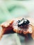 A black insect perched on the mushroom