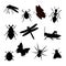 black insect silhouette set isolated