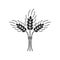 Black isolated silhouette icon of sheaf of wheat on white background. Icon of sheaf of wheat.