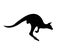 Black jumping kangaroo silhouette on background white.