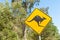 Black kangaroo on yellow reflective warning sign