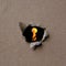 Black keyhole with bright yellow fire in a torn hole of gray rough cardboard as a symbol of dangerous secrets and peeping