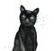 Black kitten. Animal portrait. Watercolour illustration isolated on white background.