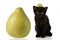 A black kitten with a citrus peel on its head is sitting near a fruit pomelo