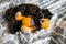 Black kitten sleeping on bed with orange crochet teddy bear