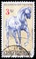 Black Kladruby Horse Equus ferus caballus, Fauna serie, circa 1996