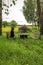 Black lab sitting on a picnic bench