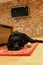 Black Labrador laying on a Rug