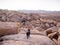 Black labrador retriever climbing among boulders in Yucca Valley California desert