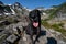 Black labrador retriever dog at Heather Meadows wilderness in Mt. Baker Washington