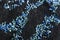 Black lace fabric in blue sequins. Textured