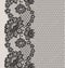 Black Lace ribbon seamless pattern.