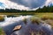 Black lake and marshes, forest in background on Pohorje mountain, Slovenia