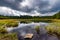 Black lake and marshes, forest in background on Pohorje mountain, Slovenia