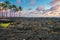 Black lava fields on the Big Island of Hawaii.