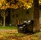 Black leather armchair, at the foot of a tree, in a neighborhood