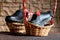 Black leather autumn shoes laid in wicker baskets and decorated with a red flower geranium presented as a gift to protect against