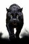 Black leopard with yellow eyes walking towards the camera. Generative AI