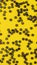 Black letter beads yellow phone wallpaper