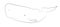Black line cachalot on white background. Sperm whale. Sketch sty