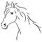 Black line horse sketch vector illustration