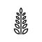 Black line icon for Curry Tree, curry and leaf