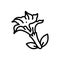 Black line icon for Datura Stramonium, jimsonweed and thorn